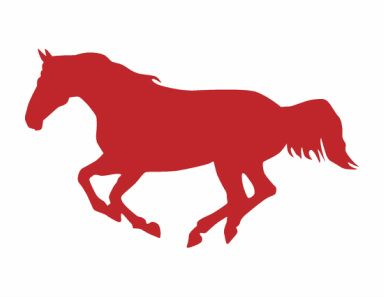Red Pony Medicine